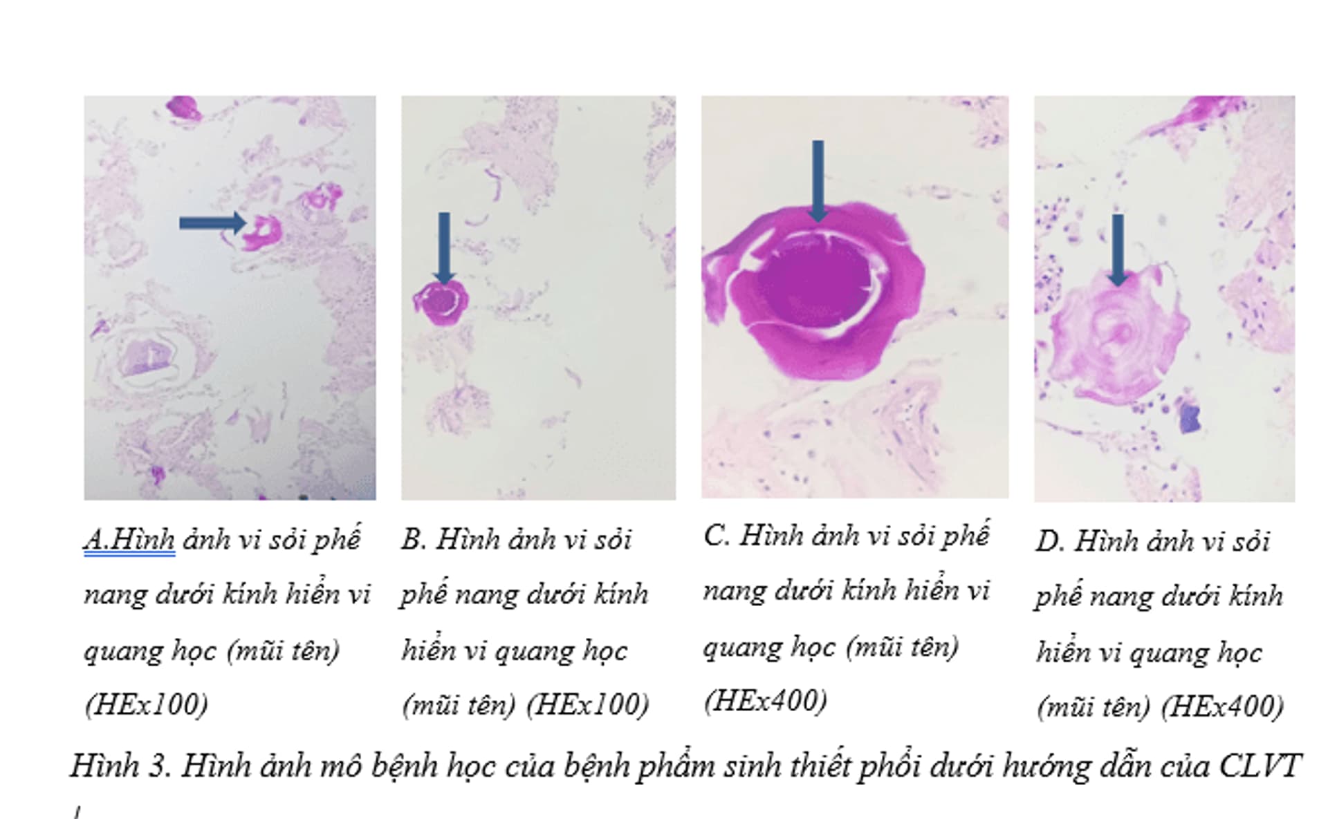 2025-10-30 115458 anh 2.png