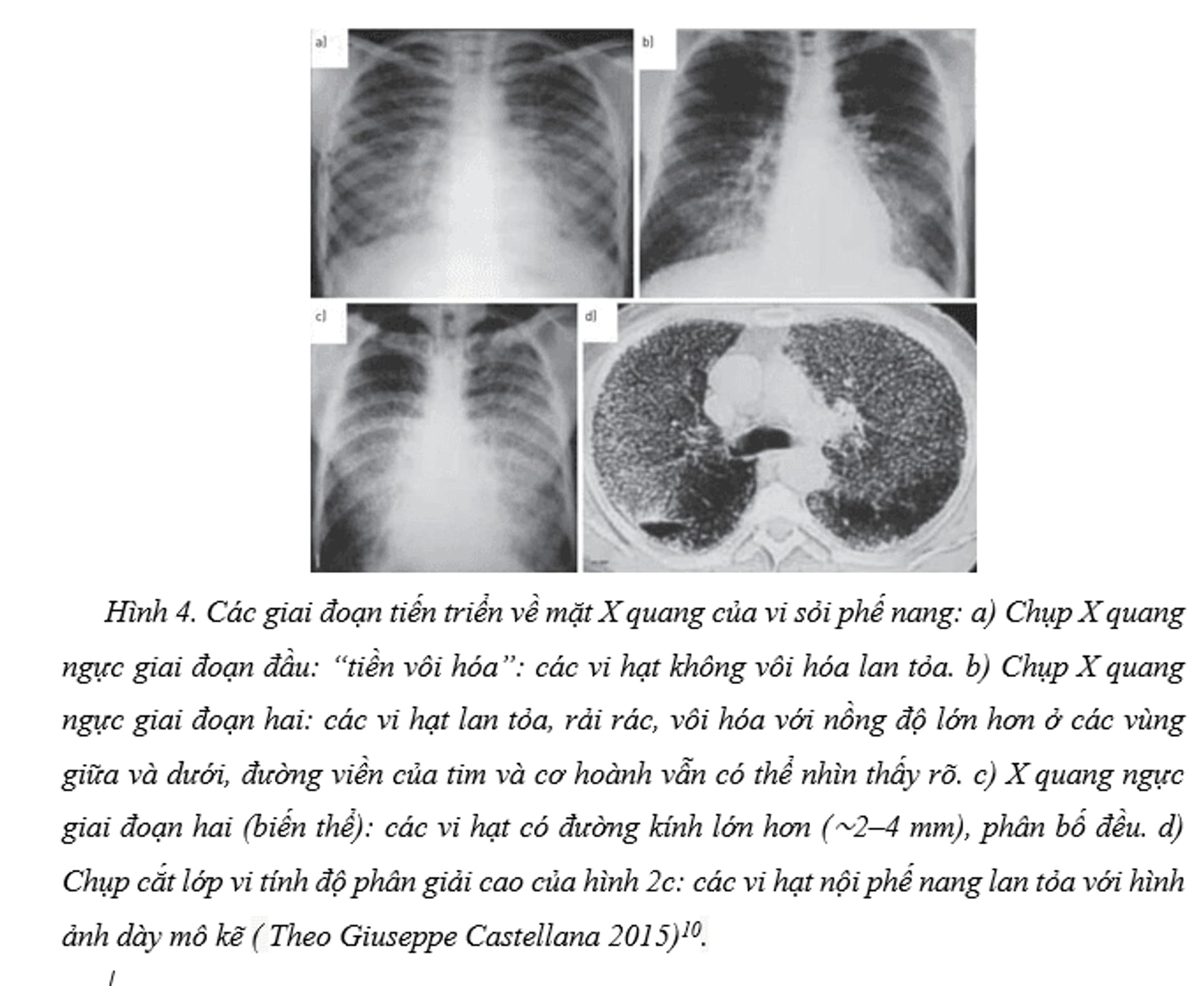 2025-10-30 115458 anh 3.png