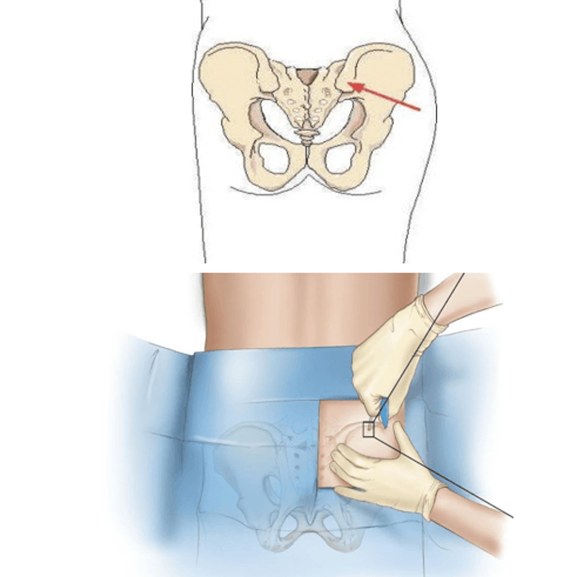 25.8.2025 Tuy do.png
