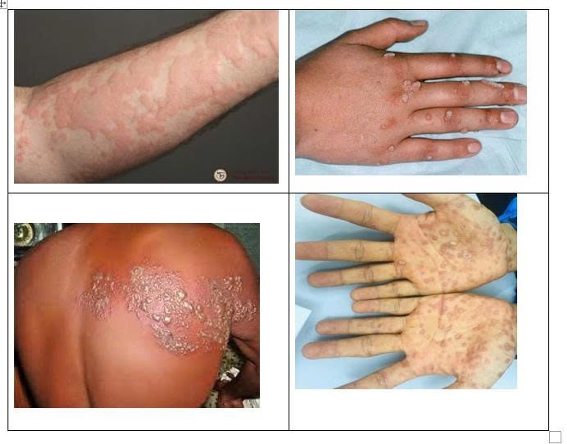 27.8.2025 Da lieu 1.jpg