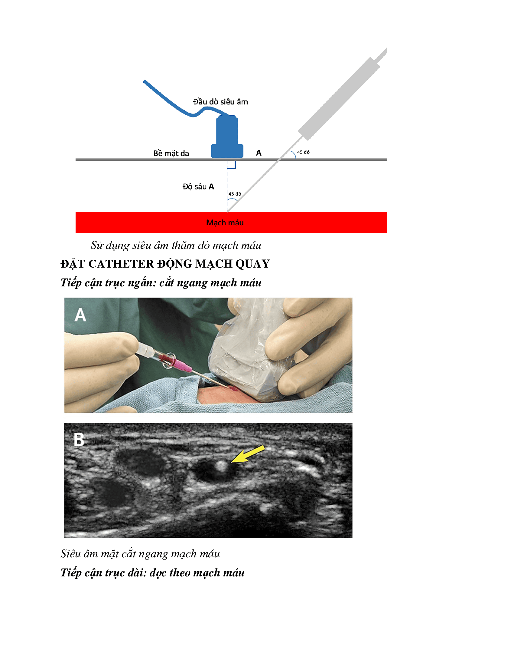 Bài viết thủ thuật HSTC P1_00013.png