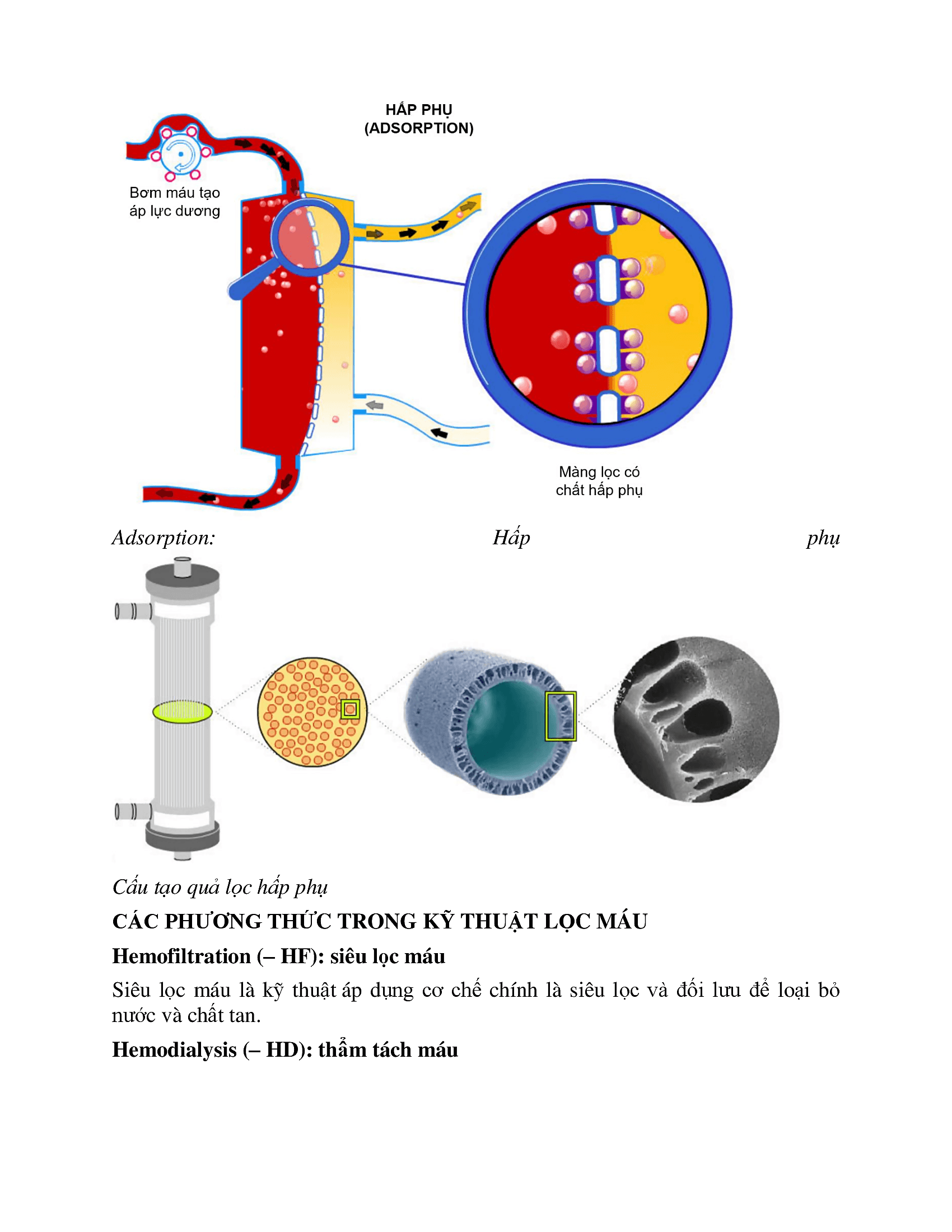 Bài viết thủ thuật HSTC P1_00030.png
