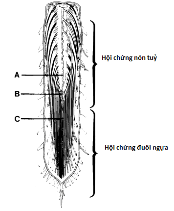 image1.png