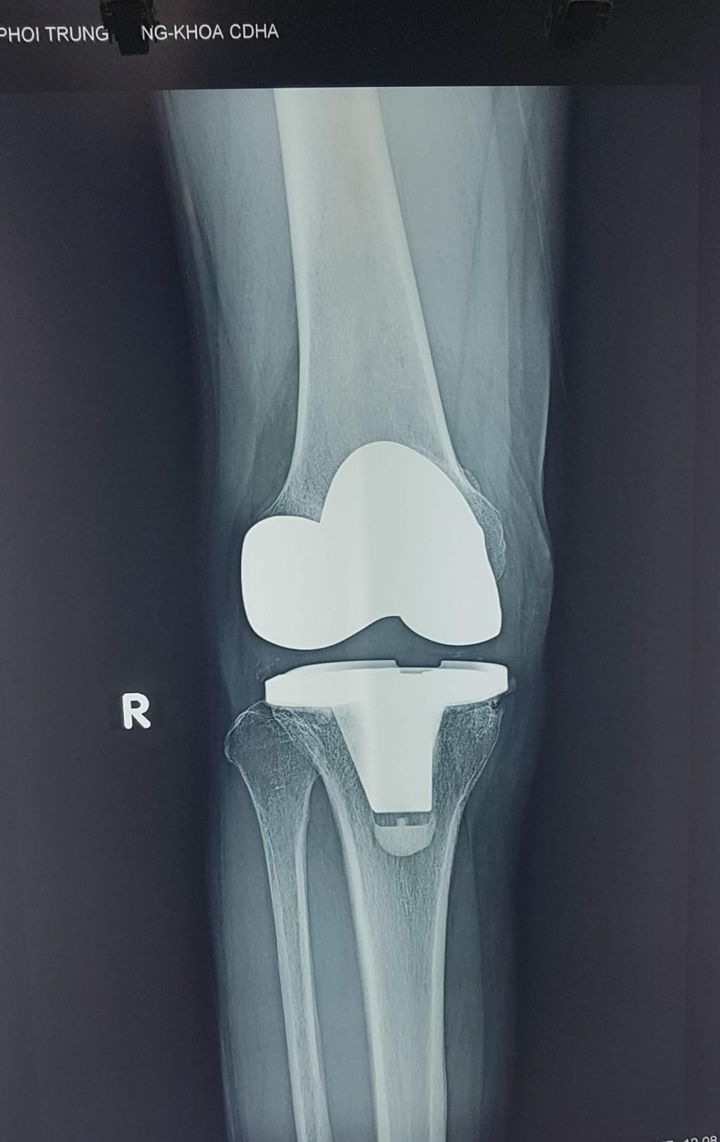 image8.jpg