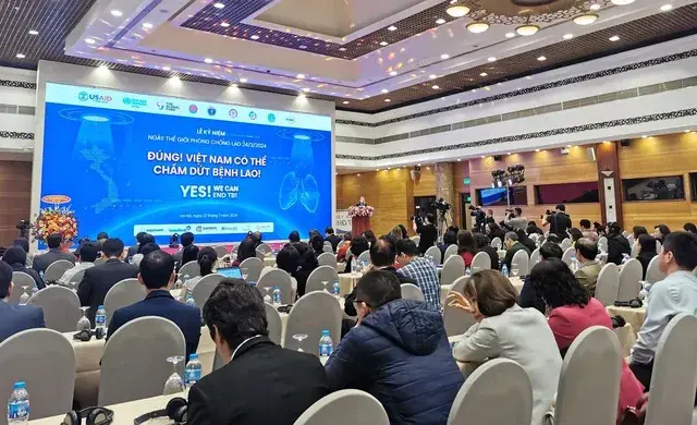 v5.webp